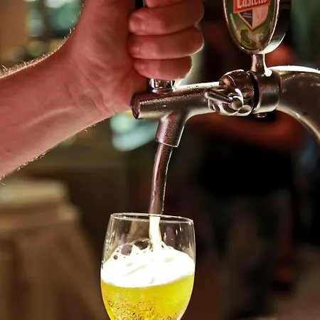 호텔 Bv Borgo Del Principe 잠브로네