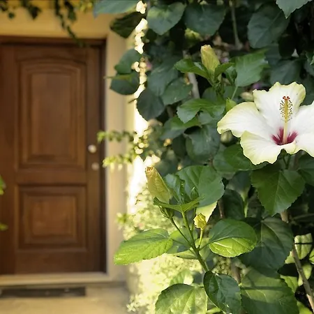 Bv Borgo Del Principe 4* Zambrone